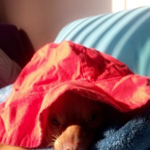 Meet your Posher, Marilena